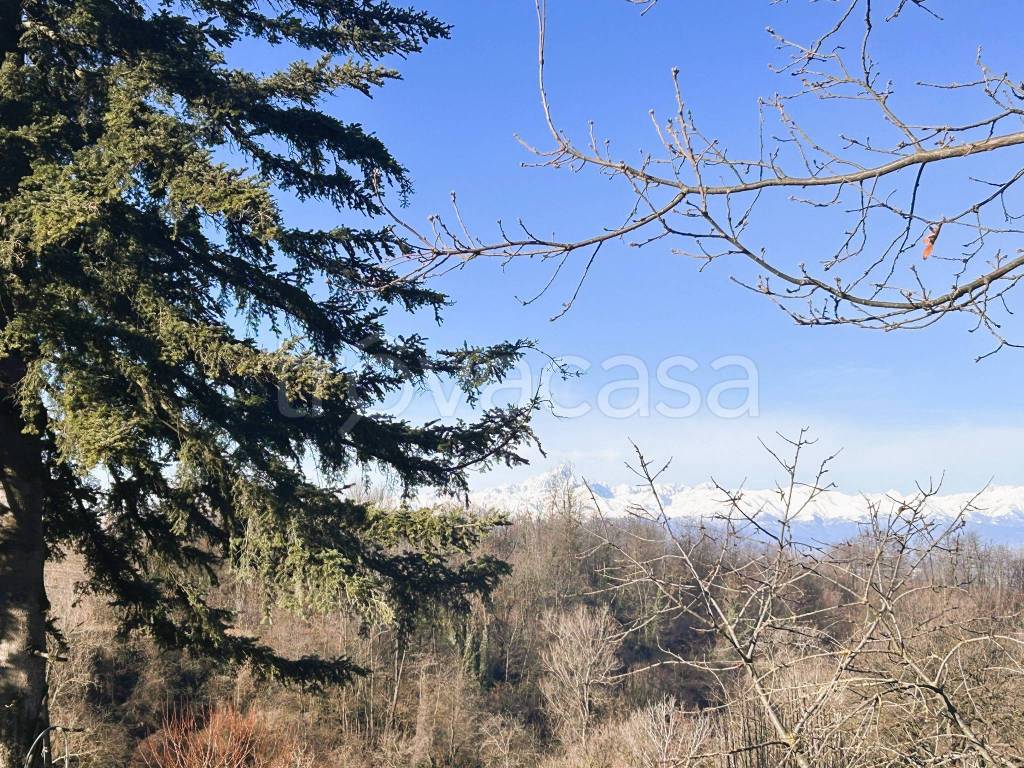 immagine annuncio 9 di 12