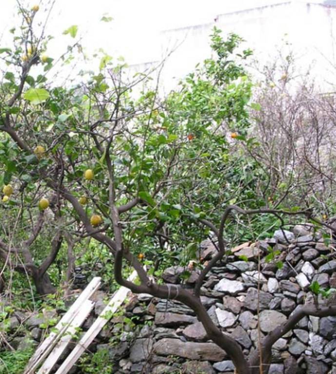 immagine annuncio 6 di 11