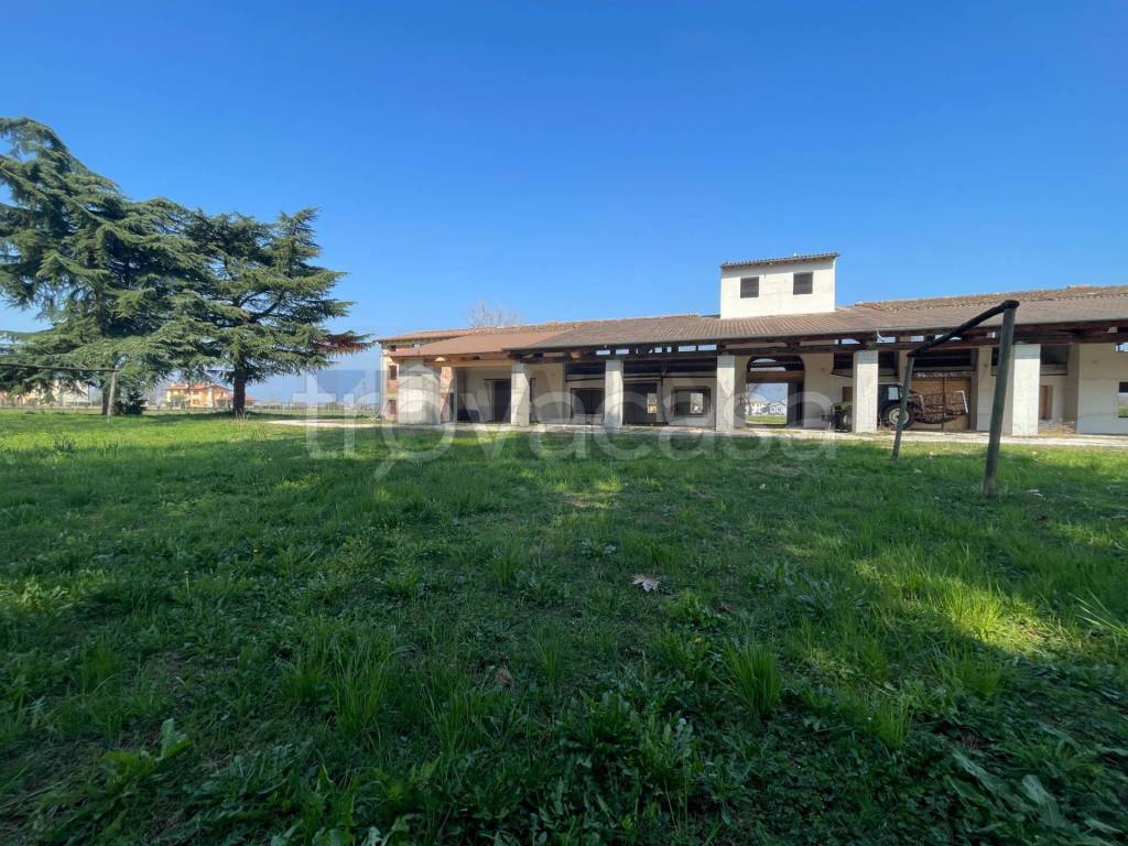 immagine annuncio 5 di 11