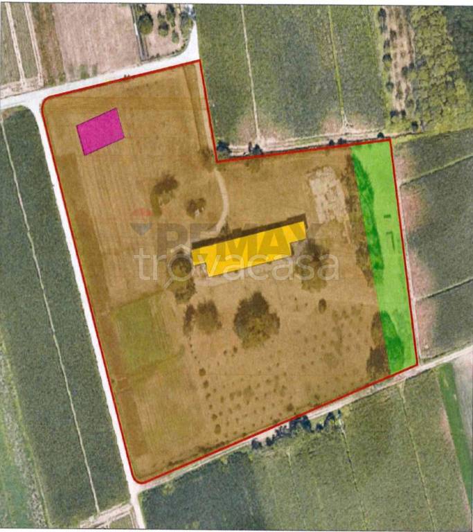 immagine annuncio 10 di 11