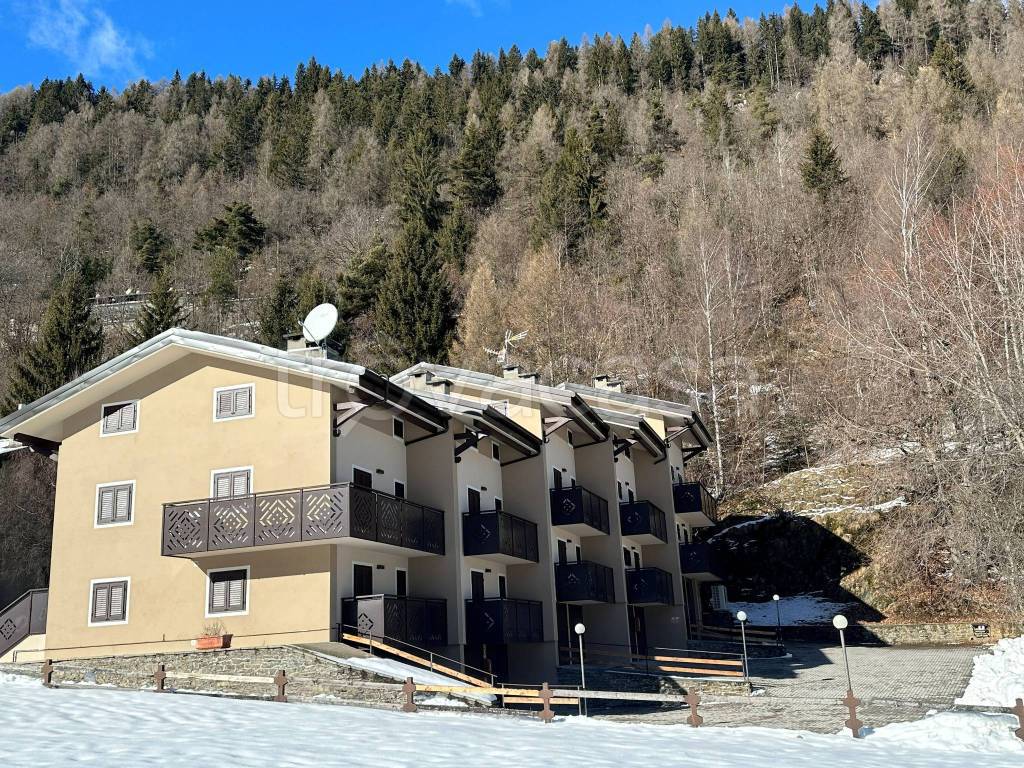 immagine annuncio 10 di 15