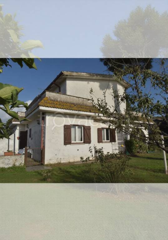 immagine annuncio 1 di 3