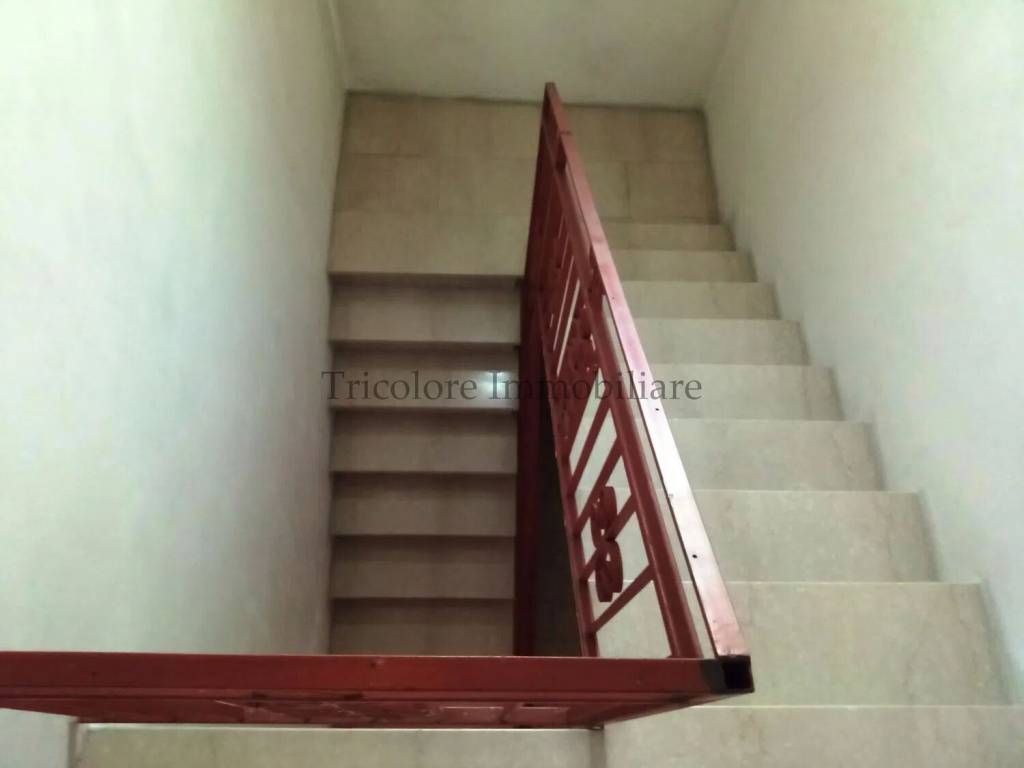 immagine annuncio 10 di 14