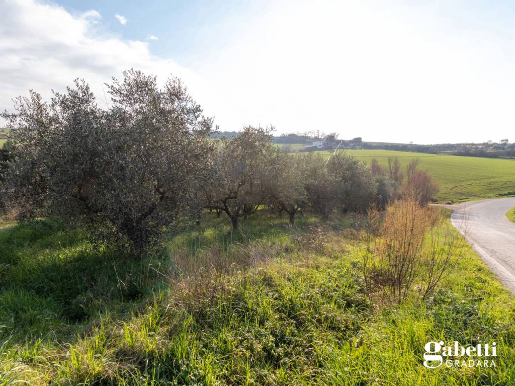 immagine annuncio 2 di 14