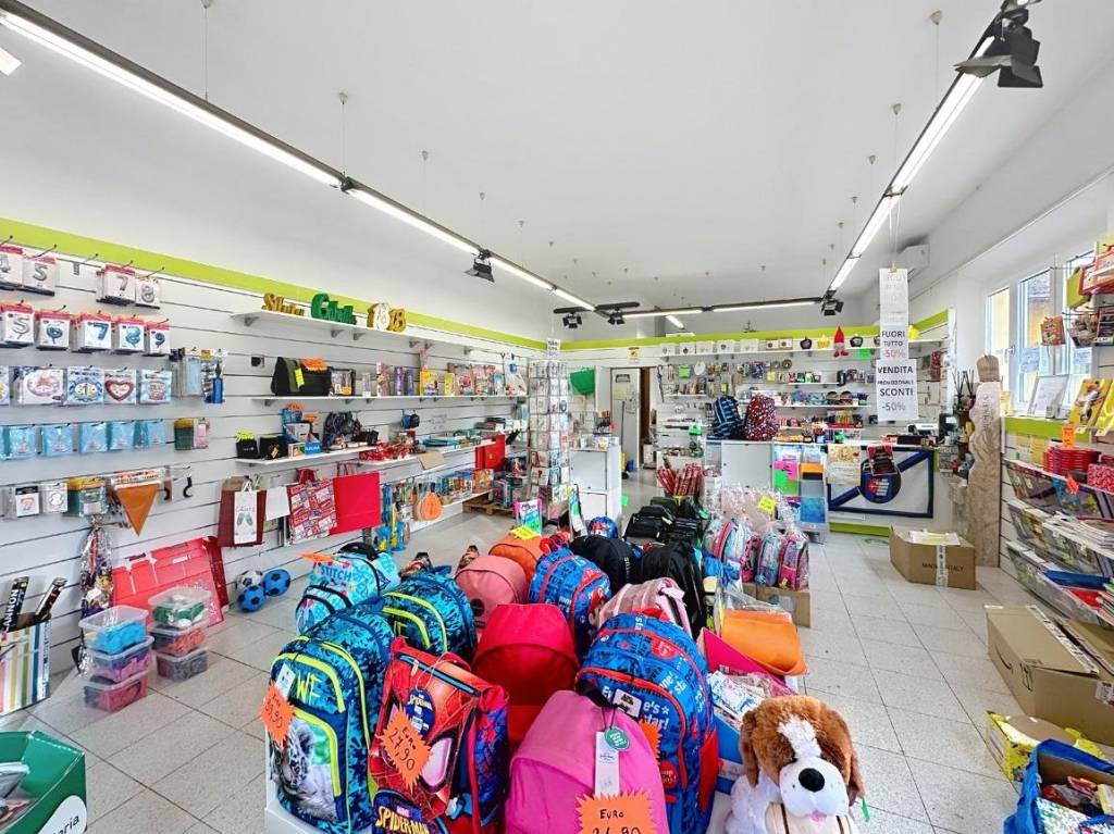 immagine annuncio 11 di 15