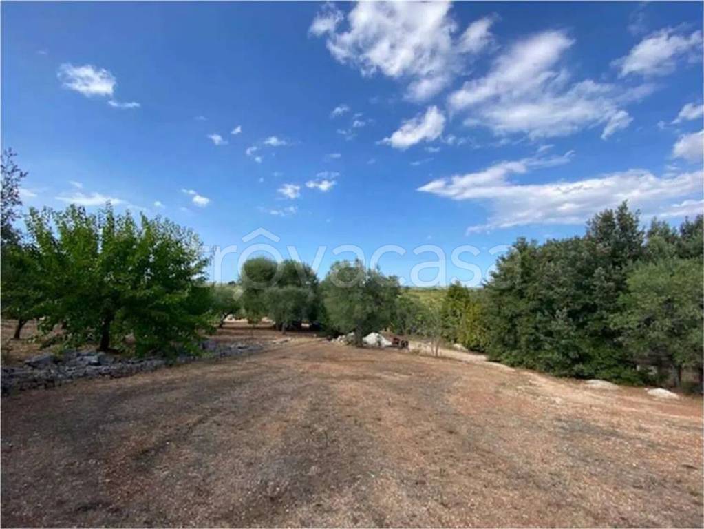 immagine annuncio 1 di 6