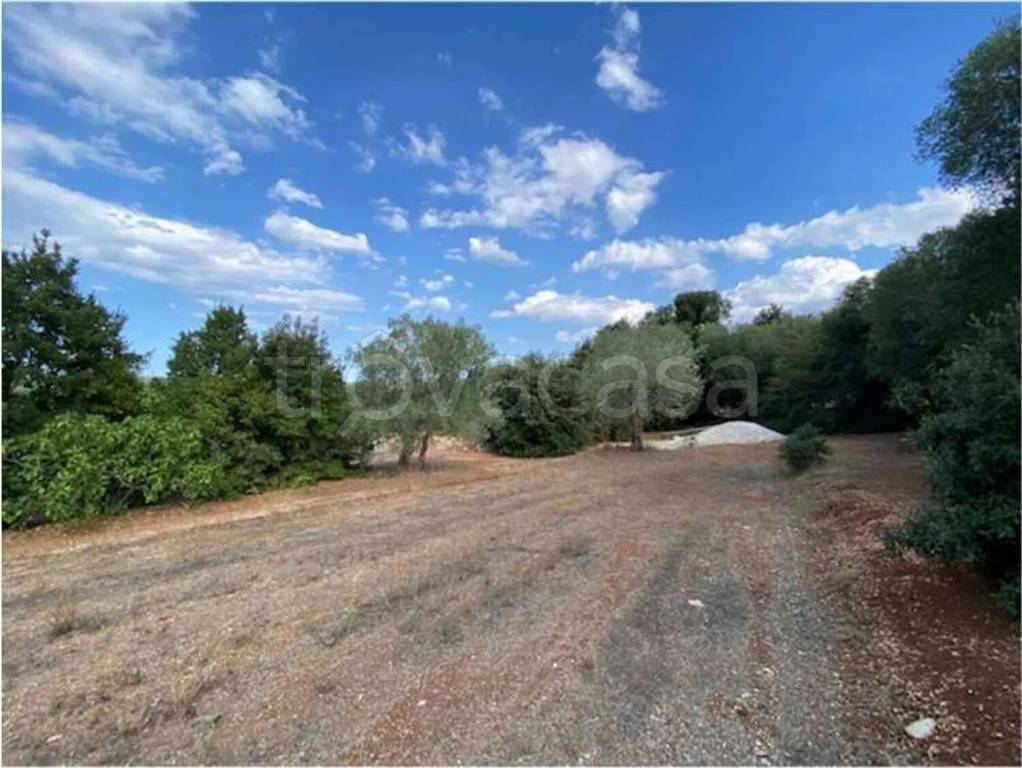 immagine annuncio 2 di 6