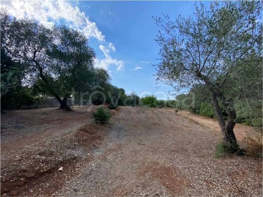 immagine annuncio 3 di 6