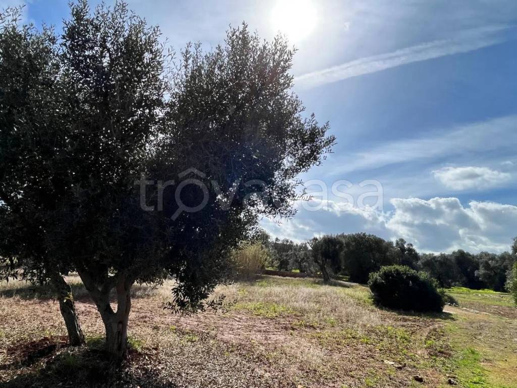 immagine annuncio 4 di 8