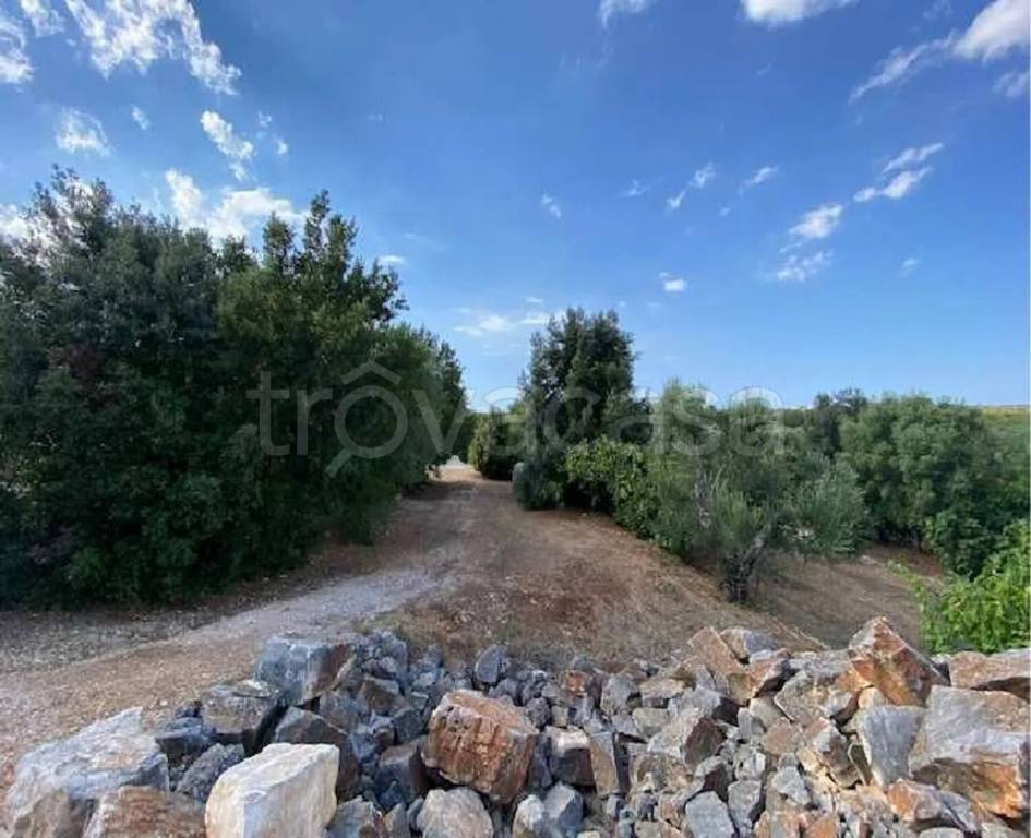 immagine annuncio 5 di 6