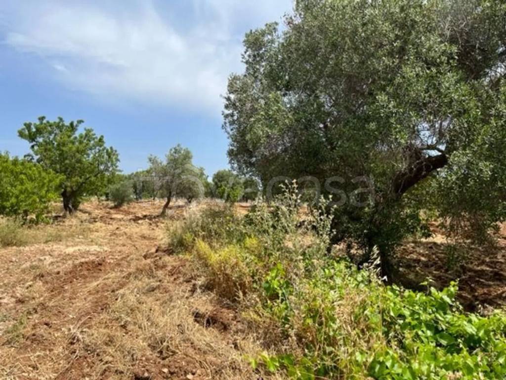 immagine annuncio 8 di 13