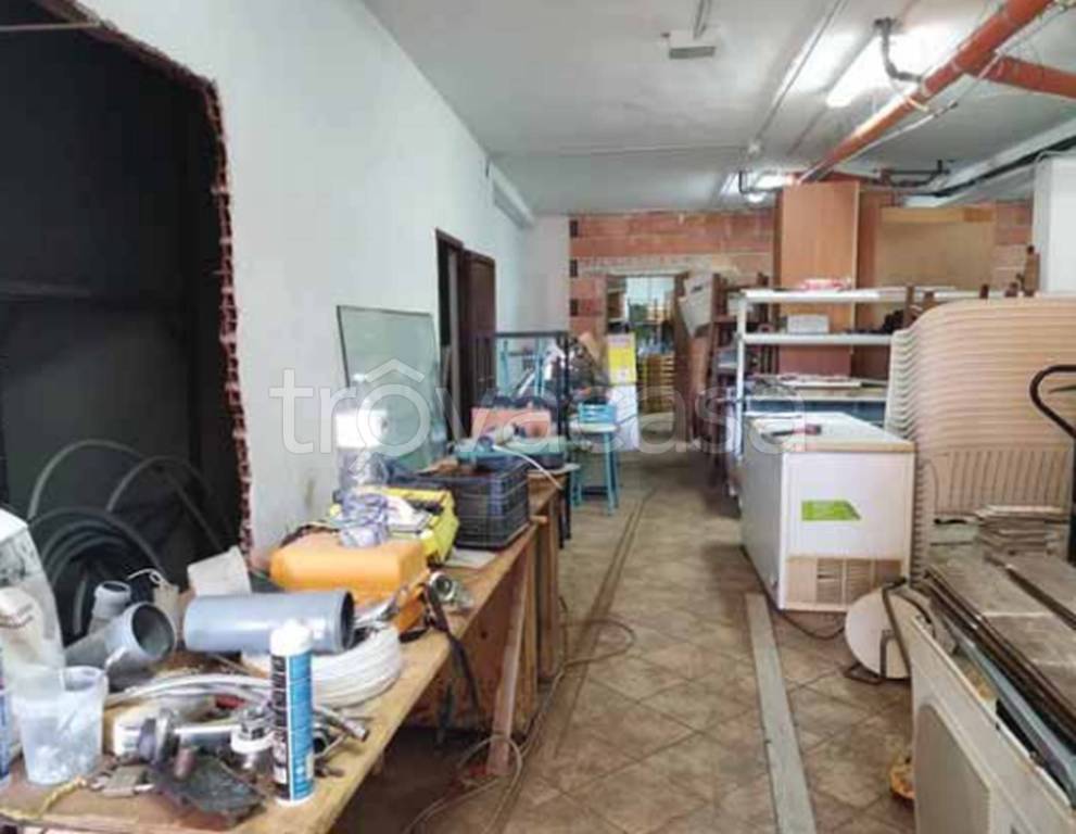 immagine annuncio 3 di 11