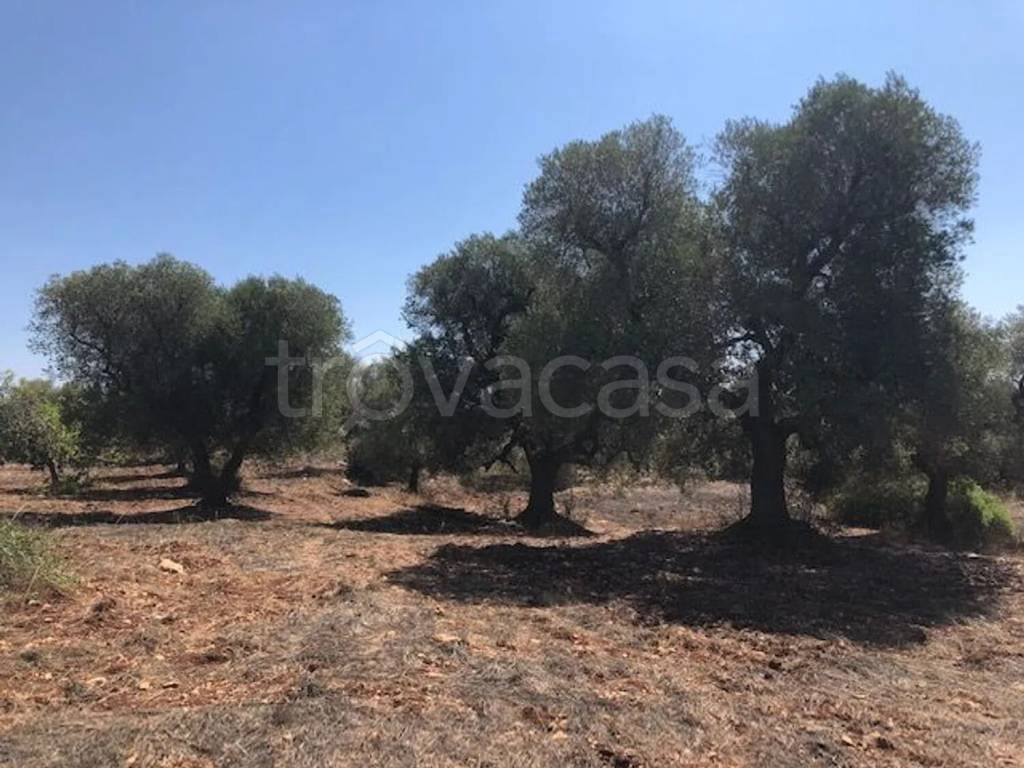 immagine annuncio 3 di 7