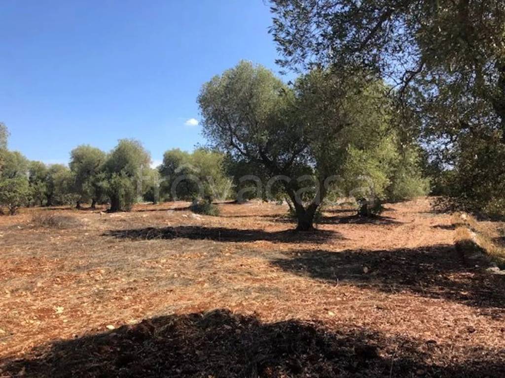 immagine annuncio 4 di 7