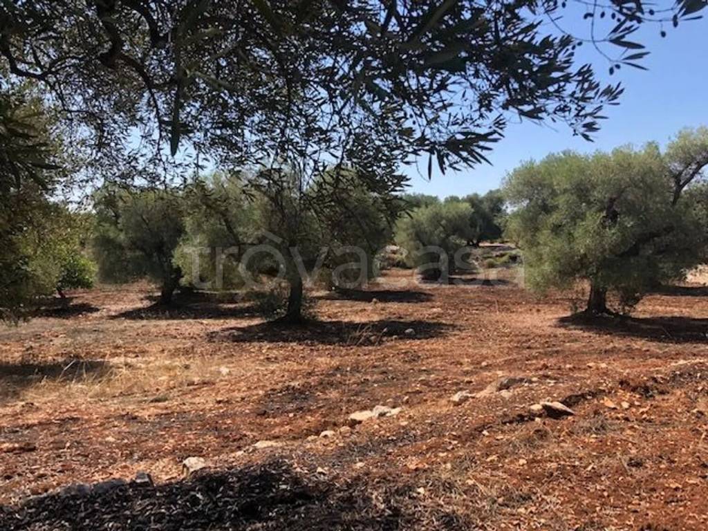 immagine annuncio 5 di 7