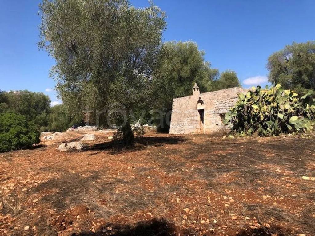 immagine annuncio 6 di 7