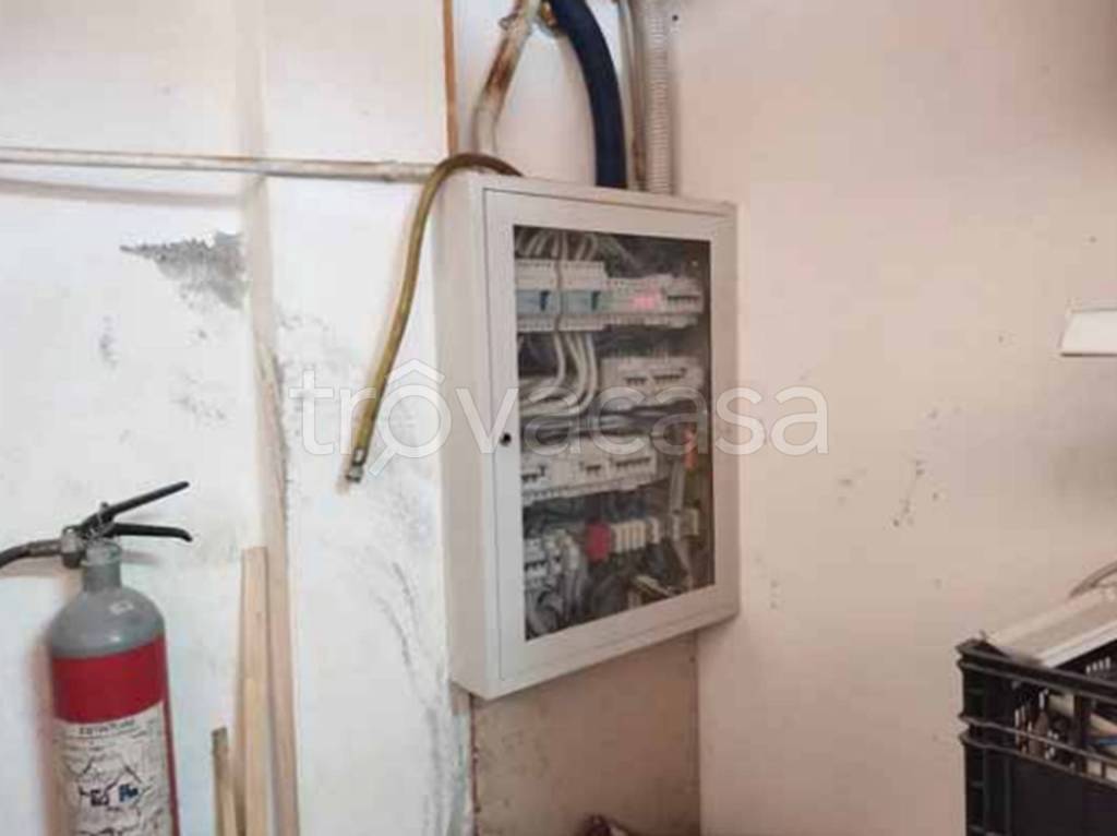 immagine annuncio 5 di 11