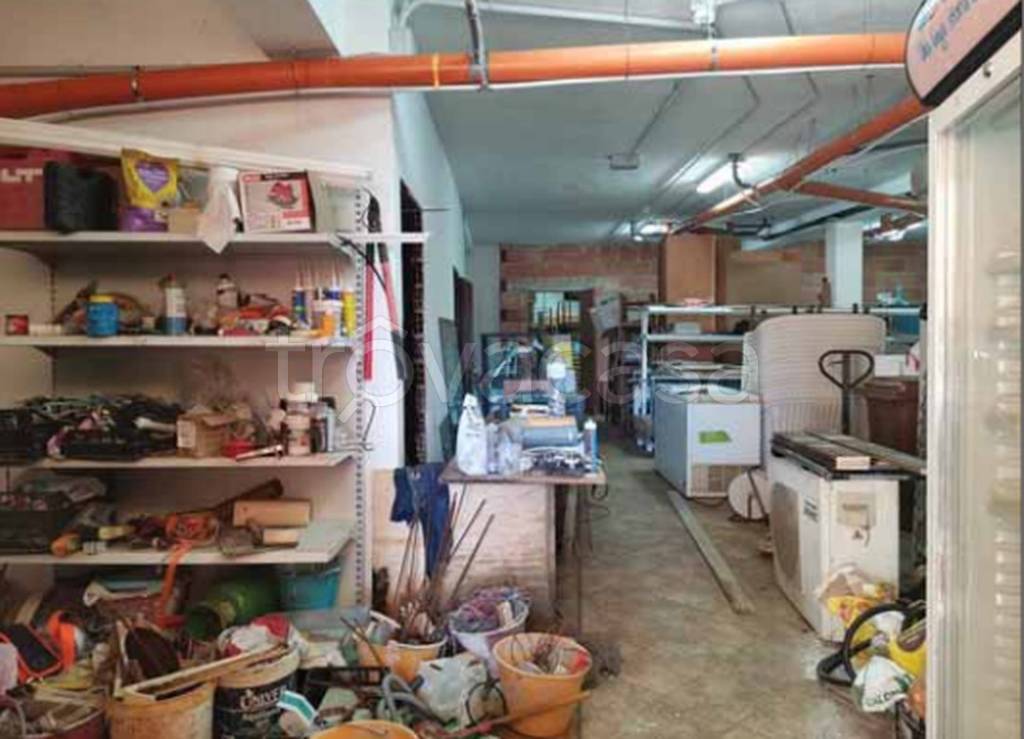 immagine annuncio 6 di 11