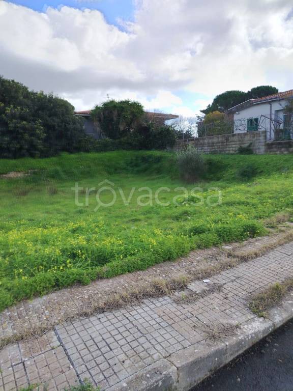 immagine annuncio 6 di 12