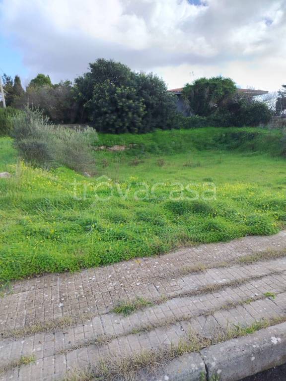 immagine annuncio 8 di 12