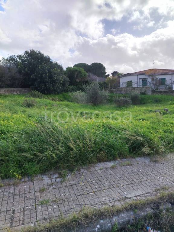 immagine annuncio 9 di 12