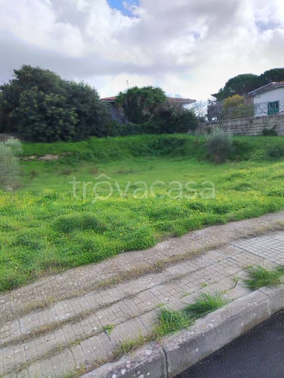 immagine annuncio 11 di 12