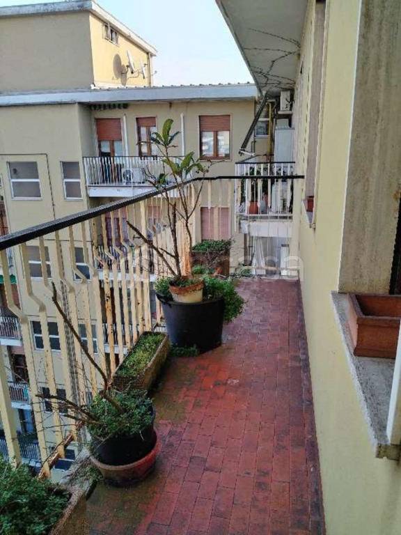 immagine annuncio 5 di 11