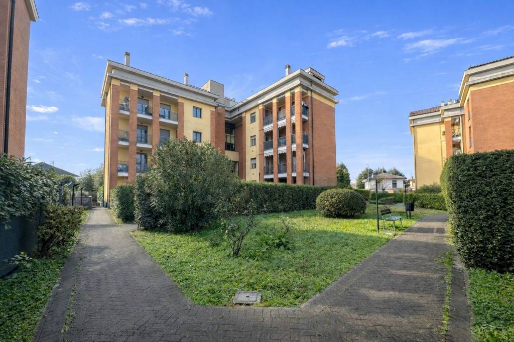 immagine annuncio 8 di 15