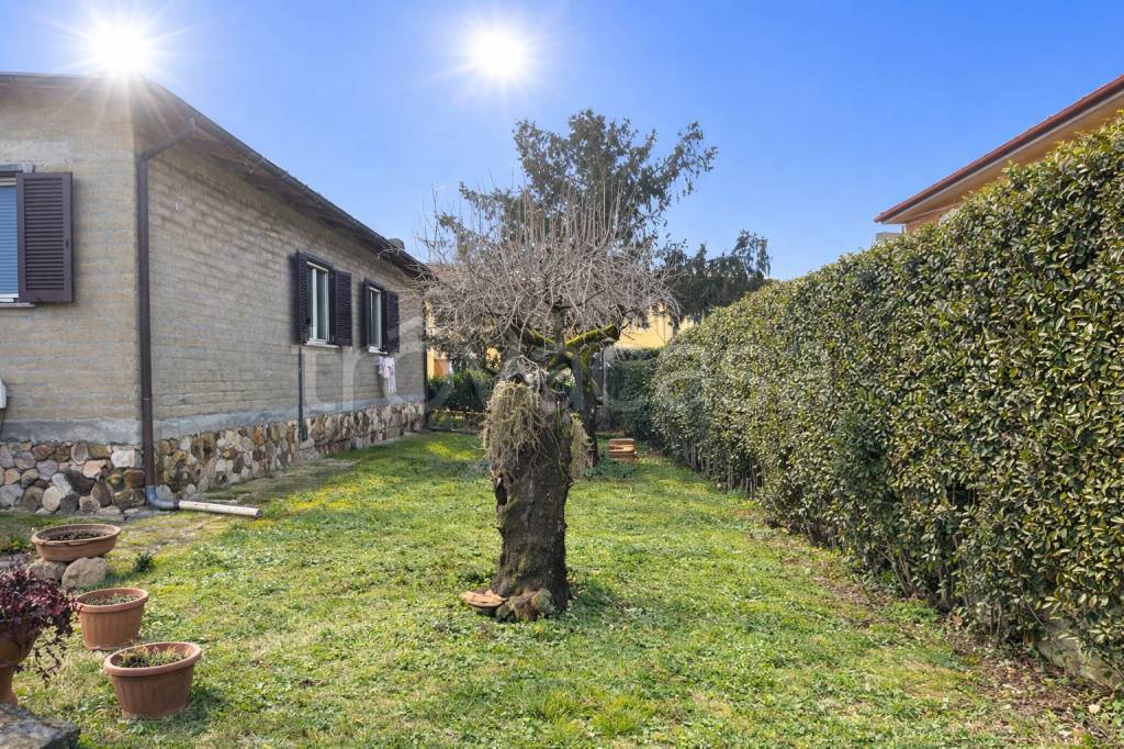 immagine annuncio 2 di 13