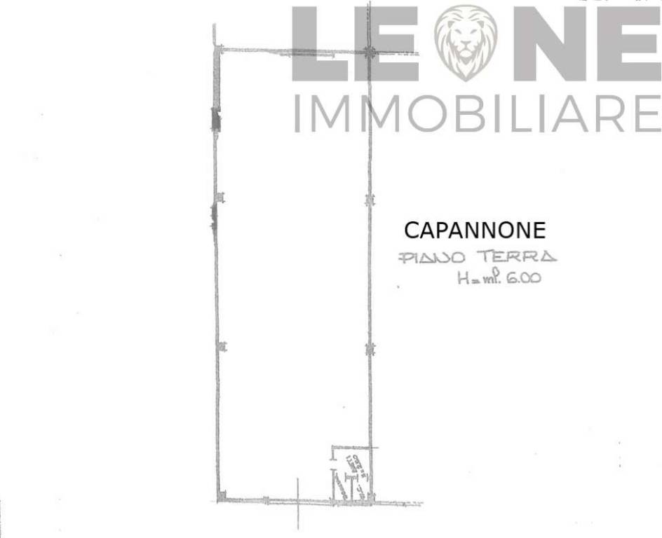 immagine annuncio 1 di 2