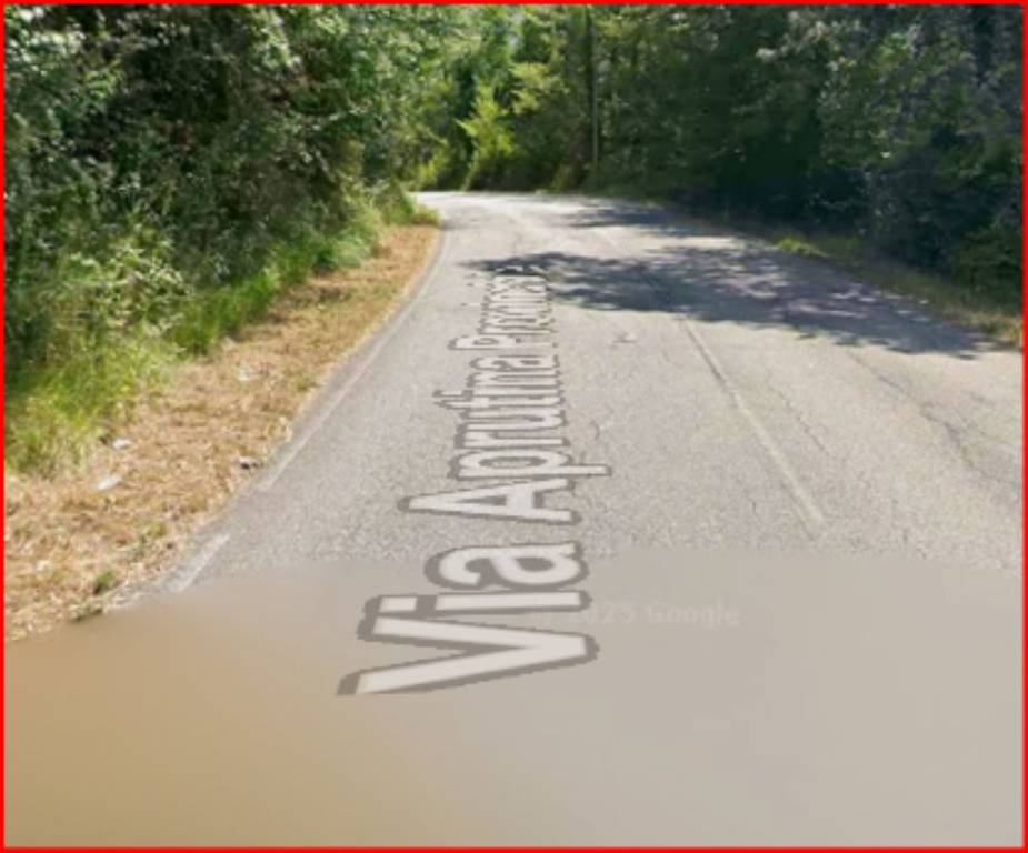 immagine annuncio 9 di 12