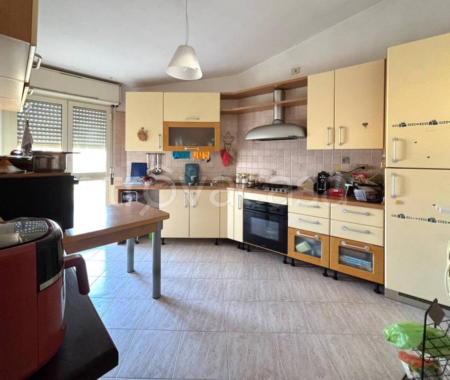 immagine annuncio 3 di 12