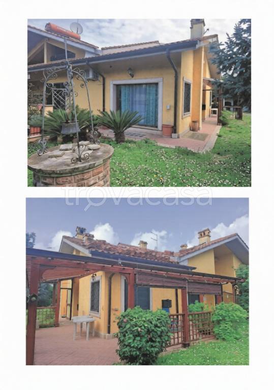 immagine annuncio 2 di 3