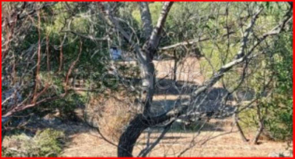 immagine annuncio 6 di 13