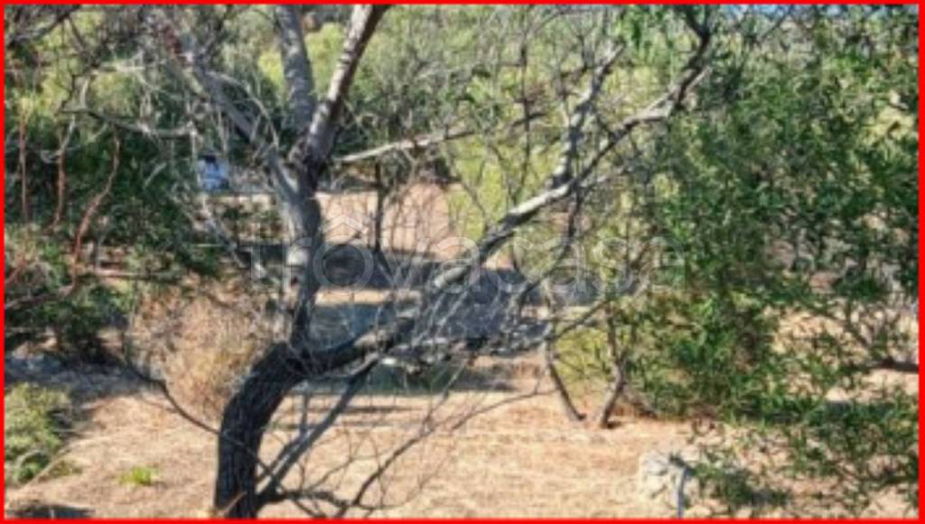 immagine annuncio 8 di 13