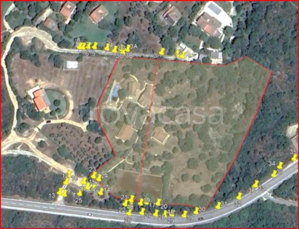 immagine annuncio 12 di 13