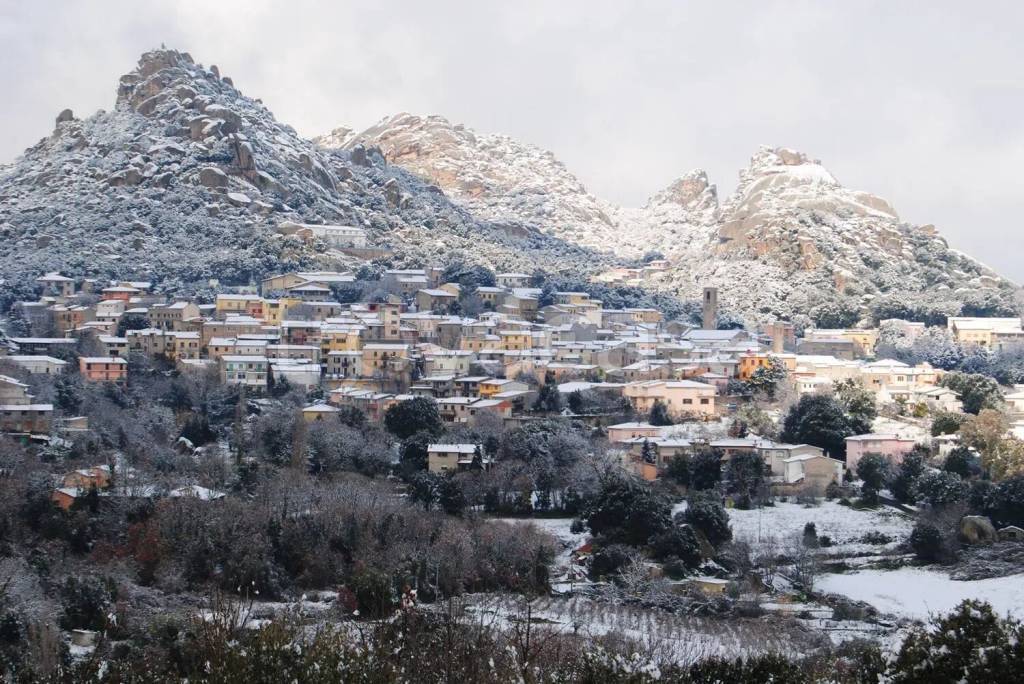 immagine annuncio 1 di 6