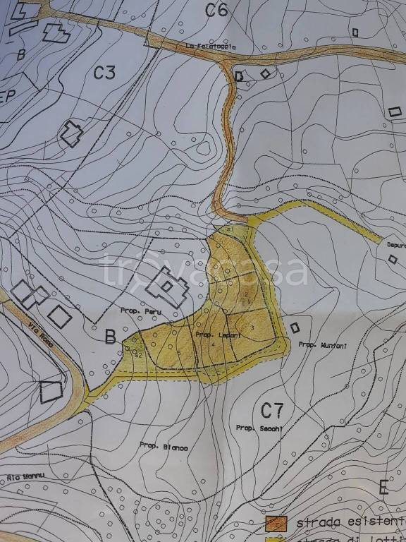 immagine annuncio 5 di 6