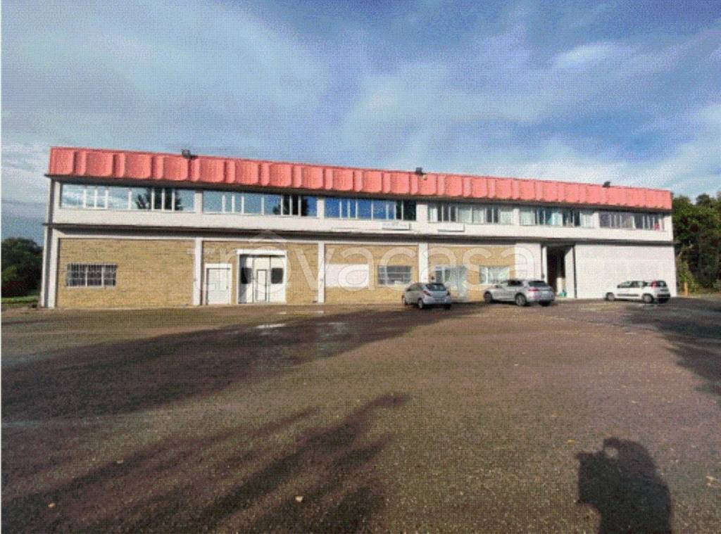 immagine annuncio 6 di 12