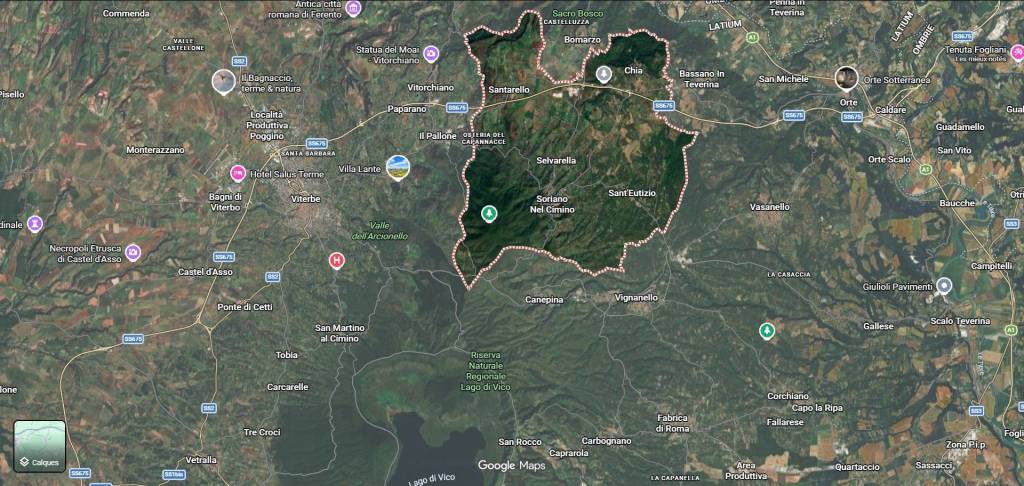 immagine annuncio 11 di 12