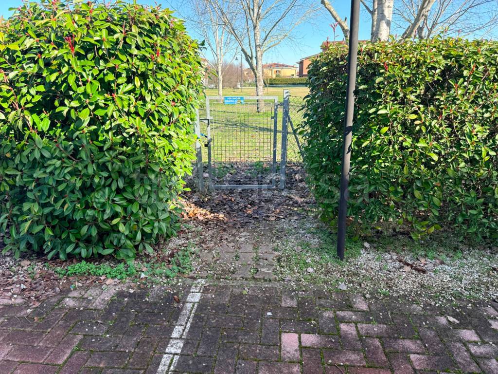 immagine annuncio 5 di 15