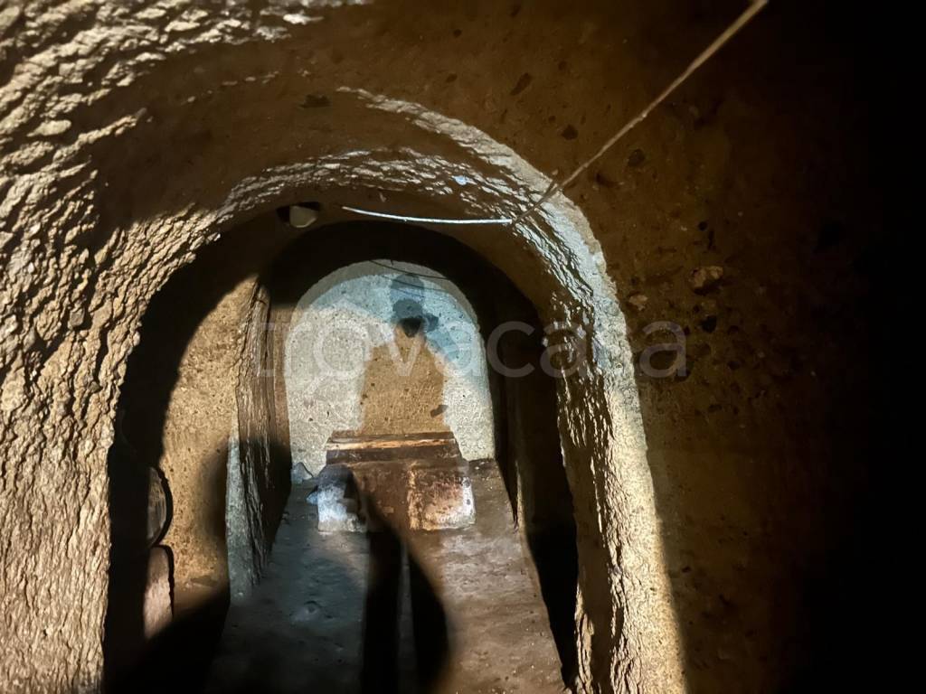 immagine annuncio 10 di 13