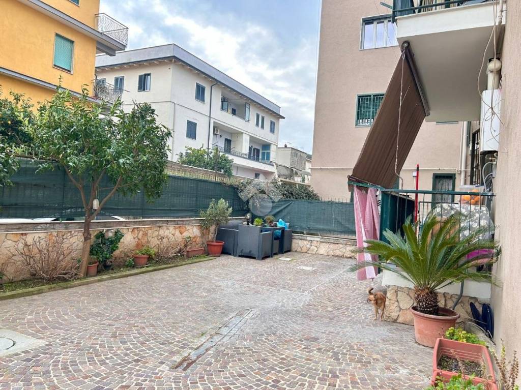 immagine annuncio 3 di 12