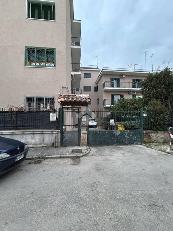 immagine annuncio 5 di 12