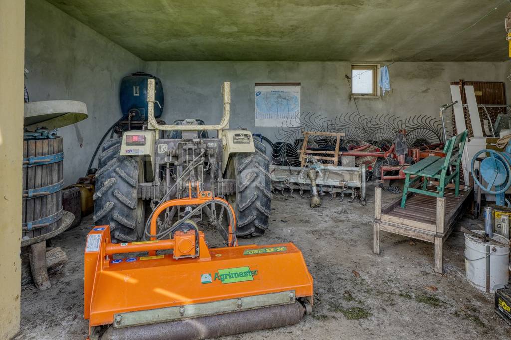 immagine annuncio 12 di 15