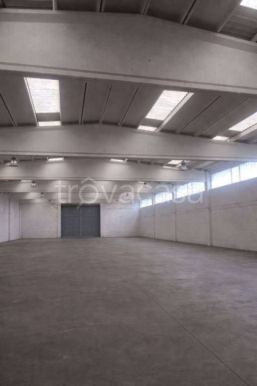 immagine annuncio 3 di 7