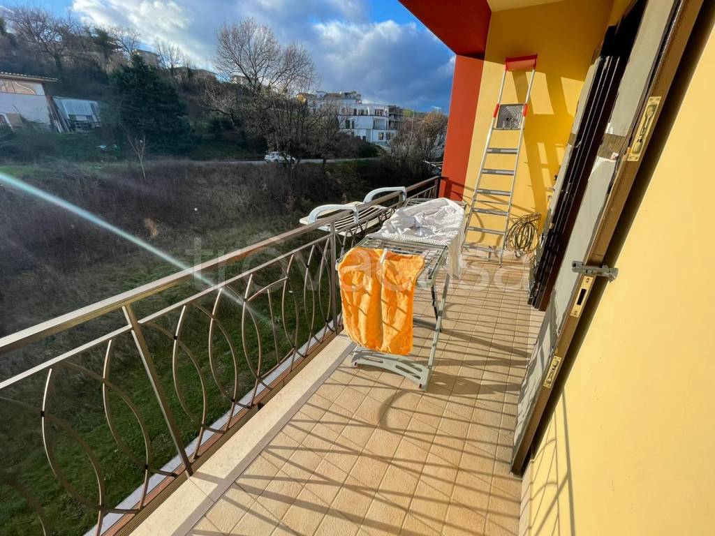 immagine annuncio 4 di 12