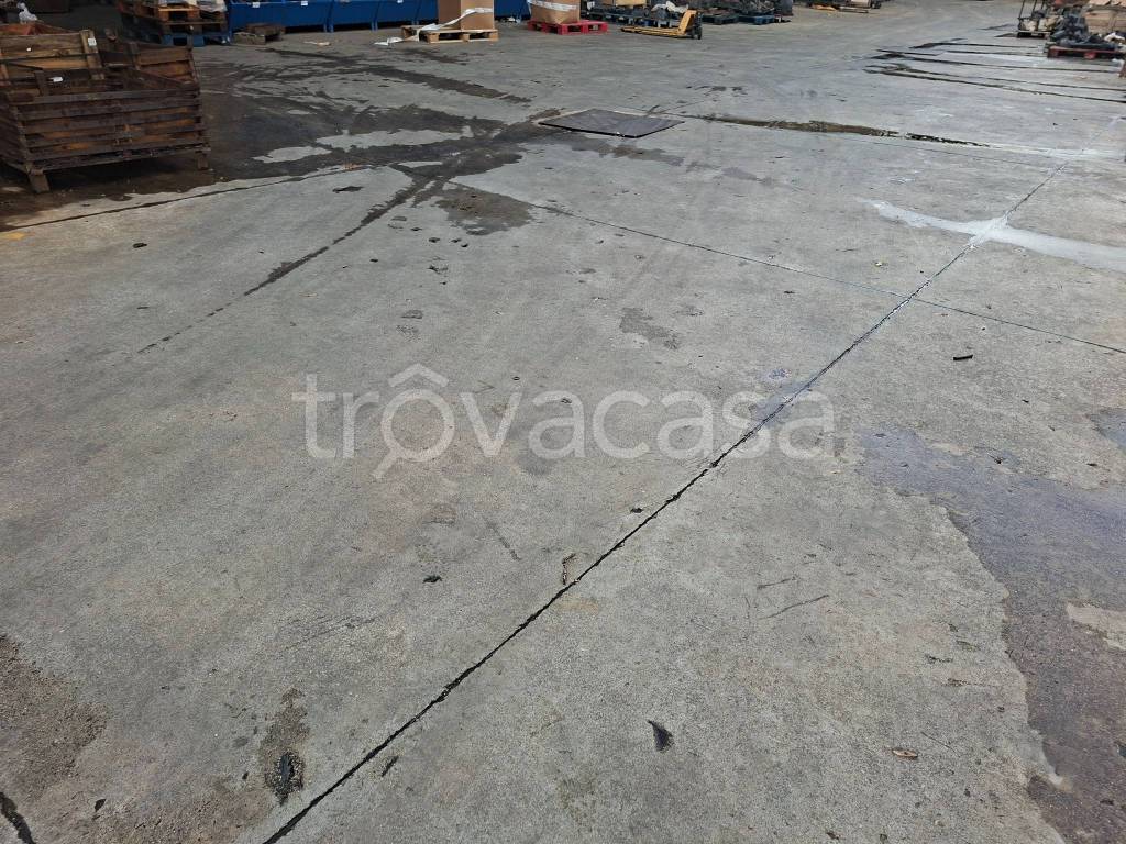 immagine annuncio 3 di 6