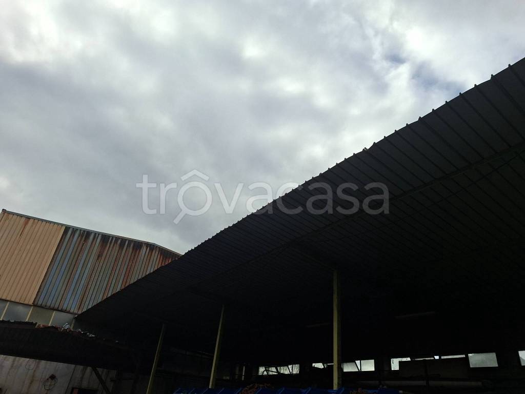 immagine annuncio 5 di 6