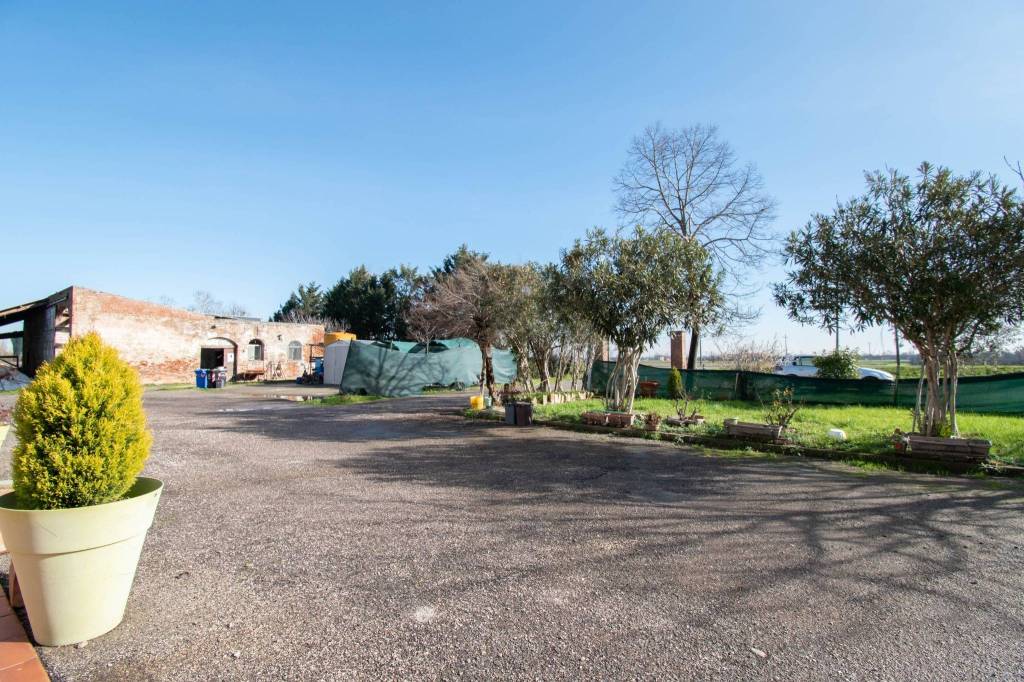 immagine annuncio 9 di 13